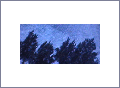 Strip 12
