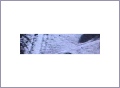 Strip 3