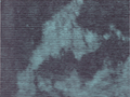 totentanz 11