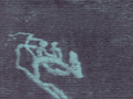 totentanz 1