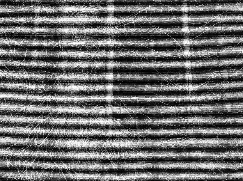 Wald bei Colditz I
