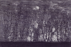 Dark Water