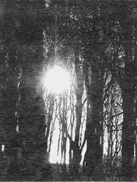 Nordlicht-6.00pm