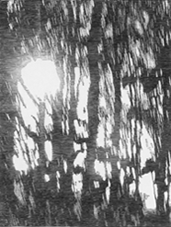 Nordlicht-6.01pm