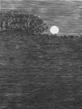Pink Moon