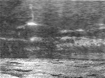 Andromeda