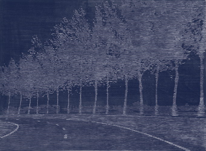 Allee II
