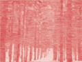 Deutscher Wald 2