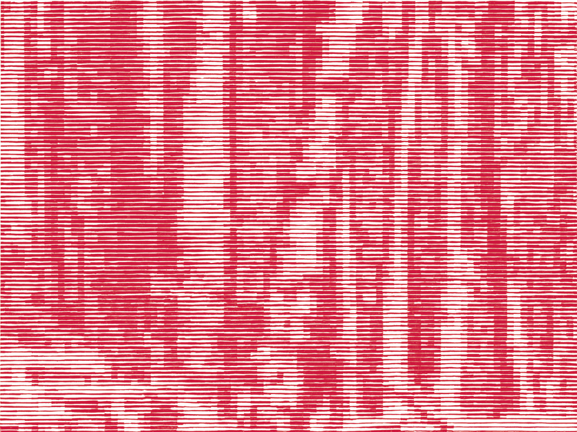Deutscher_Wald_5.gif