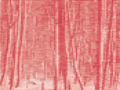 Deutscher Wald 6
