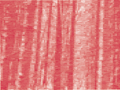 Deutscher Wald 8