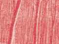 Deutscher Wald 9