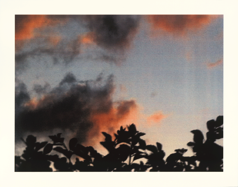 Finalcut.1_3.gif