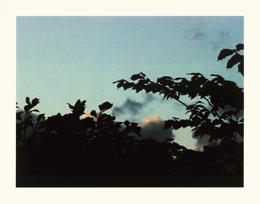 Finalcut.1_4.gif