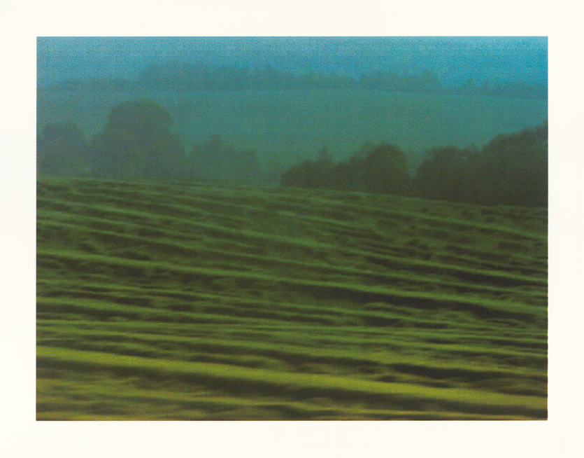 Finalcut.3_3.gif
