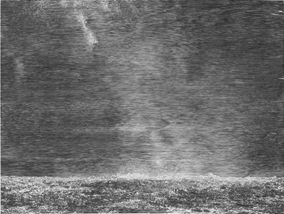 Silver Rain