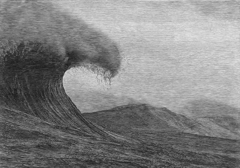 The Wave